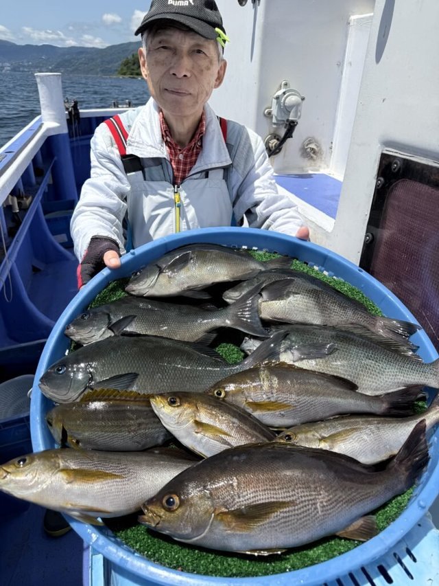 メジナ・イサキ