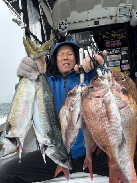 マダイ・サバ(ゴマサバ)