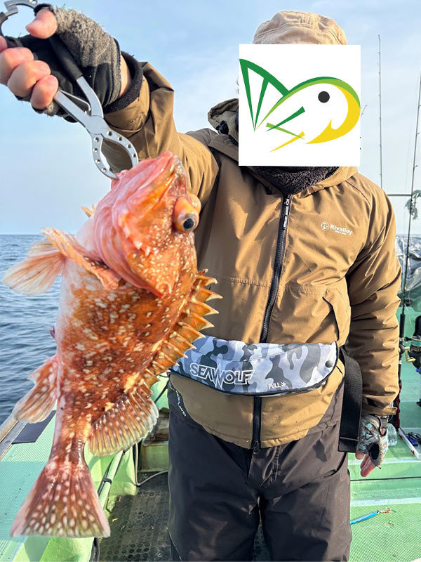 ウッカリカサゴ