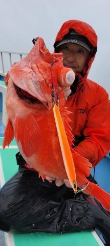 メヌケ(アコウダイ)