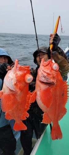 メヌケ(アコウダイ)