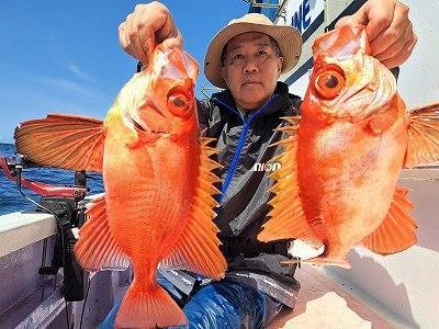 キントキ(チカメキントキ)