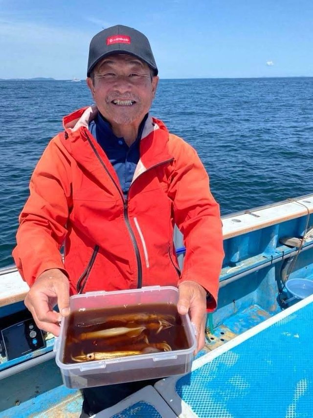 ムギイカ(スルメイカ)