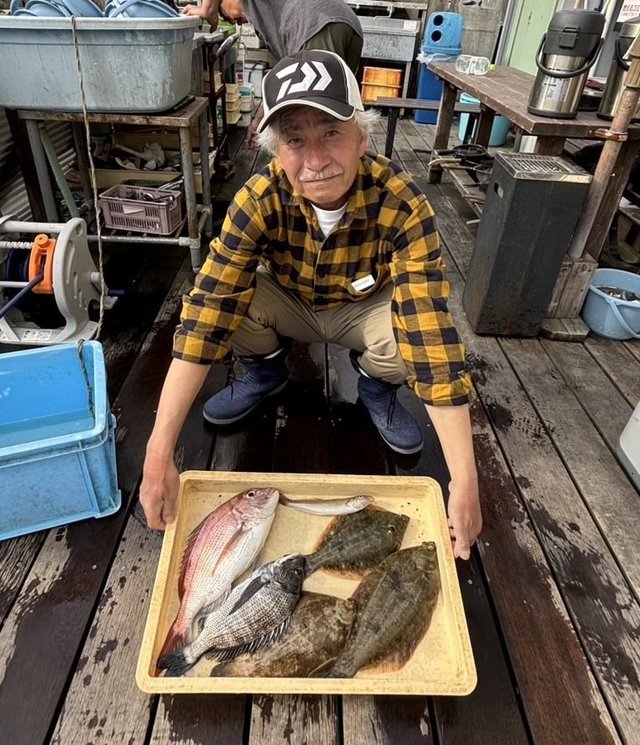 マダイ・クロダイ・シロギス・マコガレイ・メイタガレイ