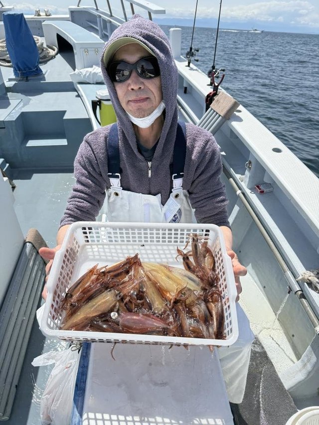 ムギイカ(スルメイカ)