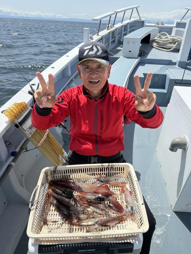 ムギイカ(スルメイカ)