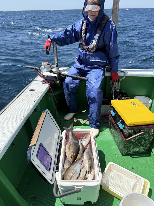 イサギ(イサキ)