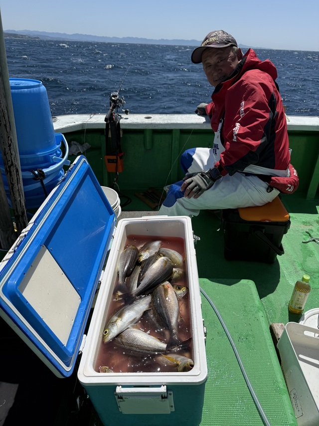 イサギ(イサキ)