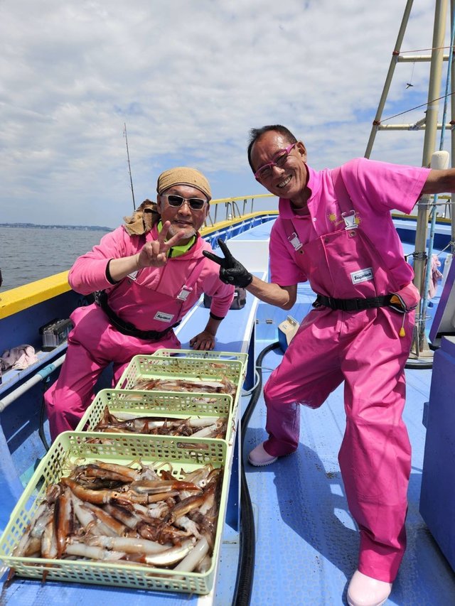 ムギイカ(スルメイカ)