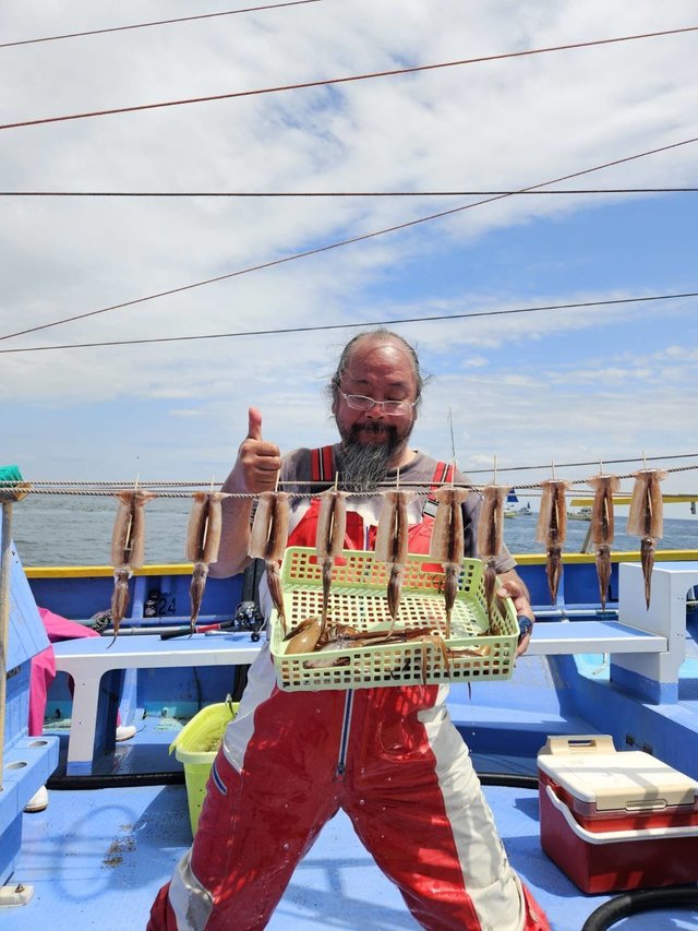 ムギイカ(スルメイカ)