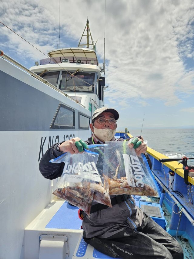 ムギイカ(スルメイカ)