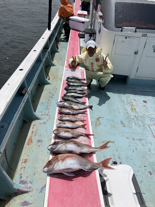 マダイ・クロダイ・メジナ