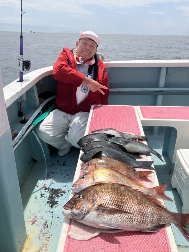マダイ・クロダイ・メジナ