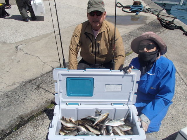 マアジ・イサキ