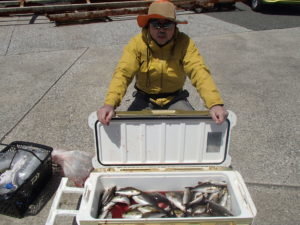 マアジ・イサキ