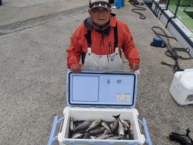 マアジ・イサキ