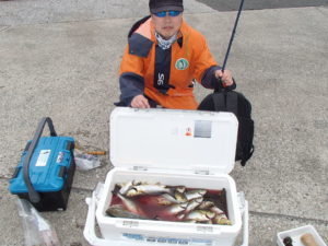 マアジ・イサキ