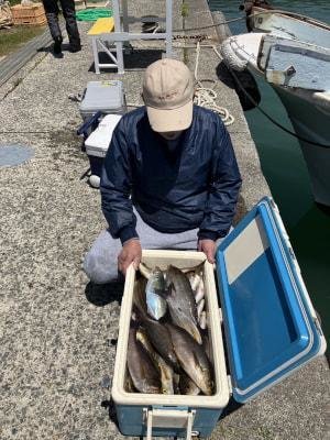 イナダ(ブリ)・イサキ