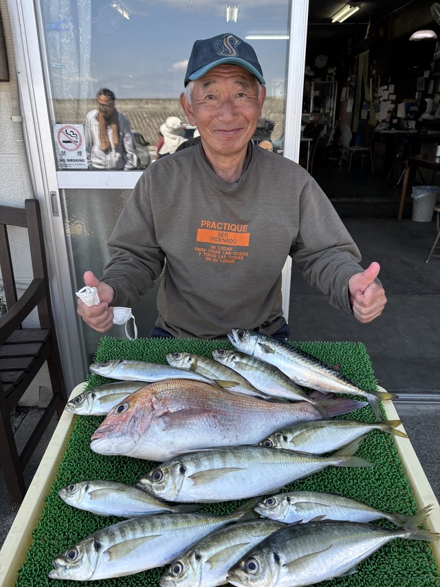 マダイ・アジ(マアジ)