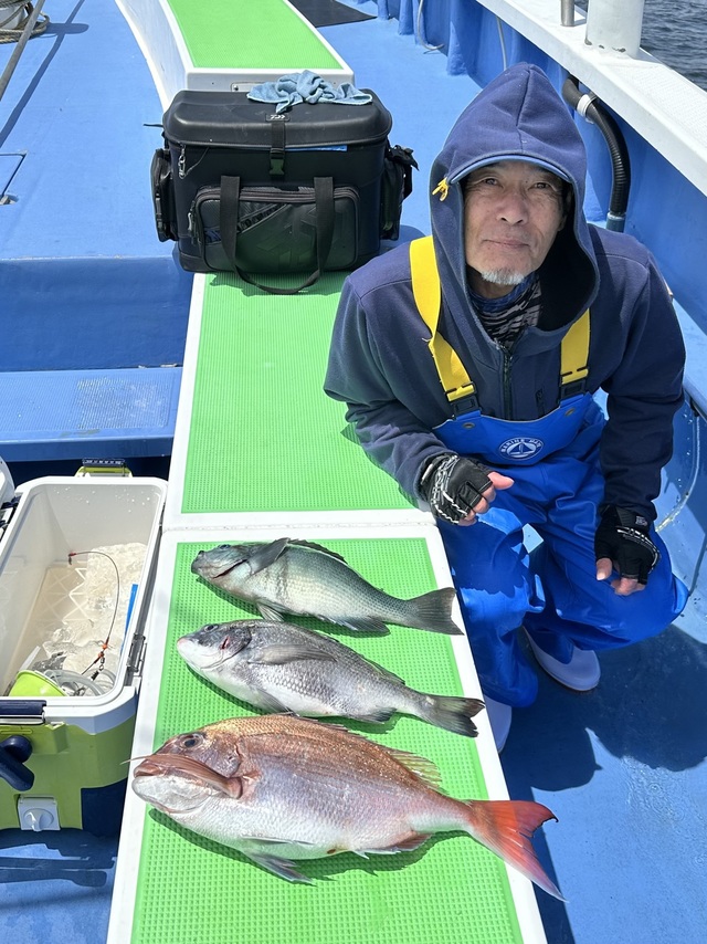 マダイ・クロダイ・メジナ