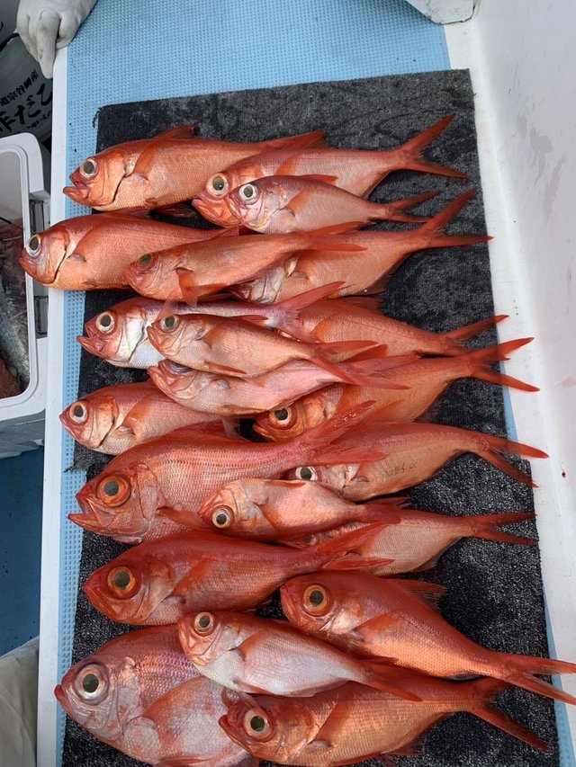 キンメ(キンメダイ)