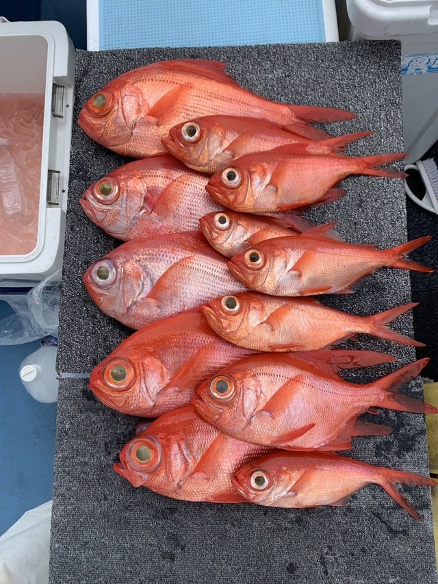 キンメ(キンメダイ)