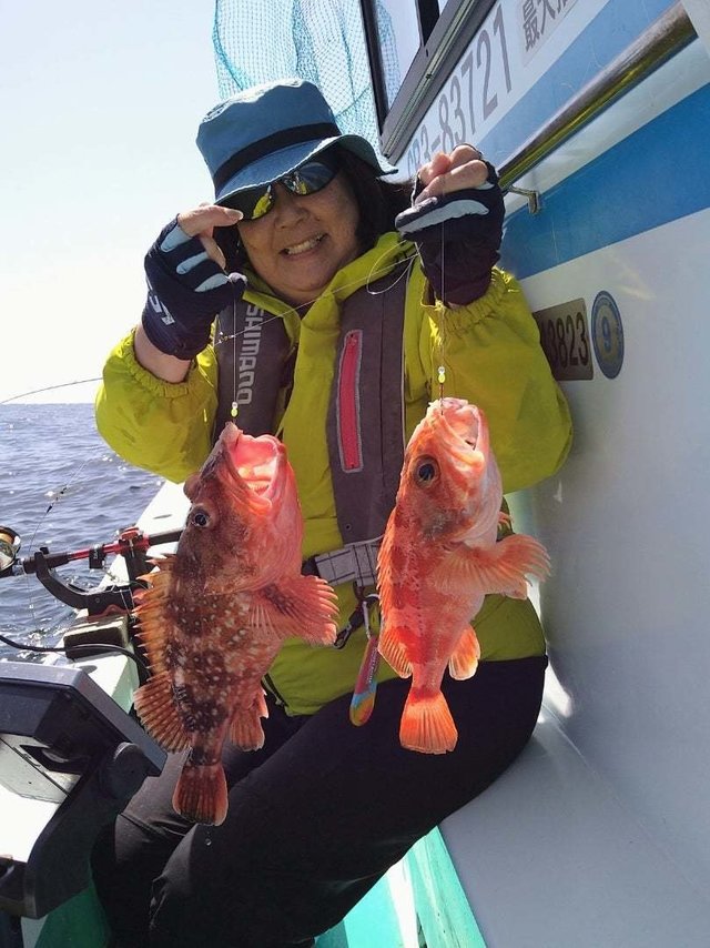 ウッカリカサゴ・ユメカサゴ