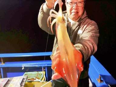 マイカ(ケンサキイカ)