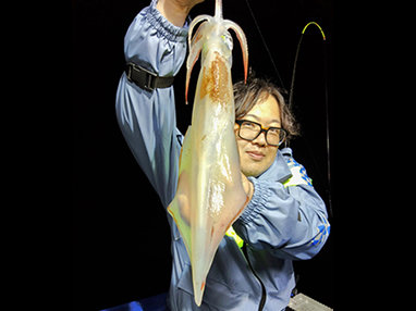 マイカ(ケンサキイカ)