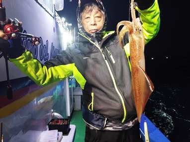 マイカ(ケンサキイカ)