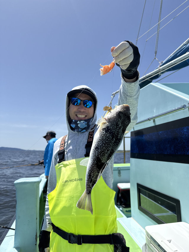 フグ(ショウサイフグ)