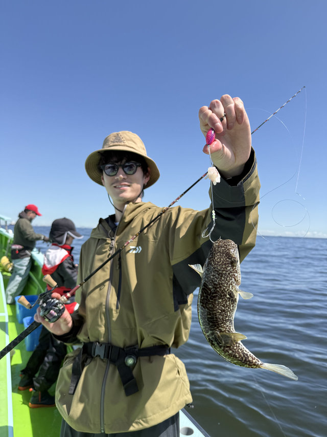 フグ(ショウサイフグ)