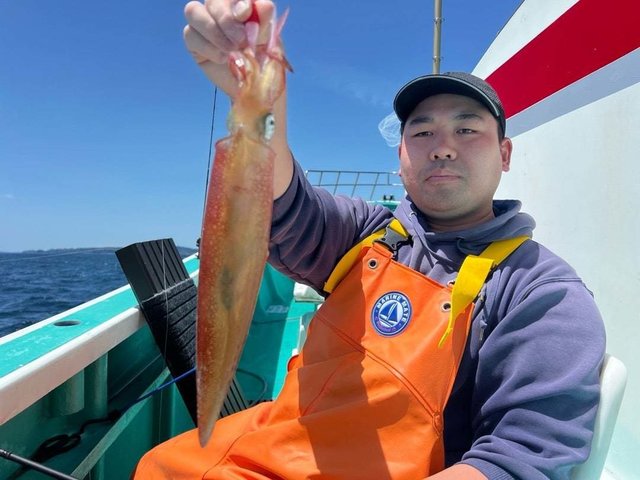 マルイカ(ケンサキイカ)