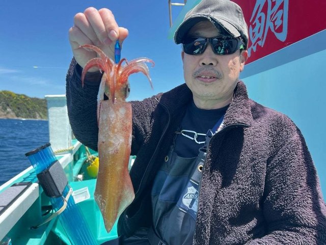 マルイカ(ケンサキイカ)