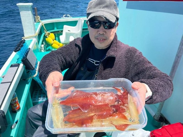 マルイカ(ケンサキイカ)