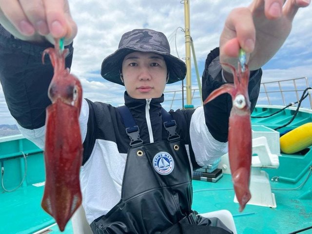 マルイカ(ケンサキイカ)