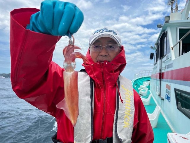 マルイカ(ケンサキイカ)