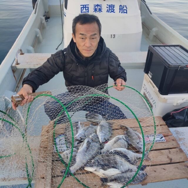 チヌ(クロダイ)