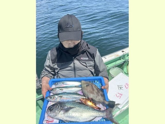 サバ(マサバ)・メダイ・オキメバル(トゴットメバル)・ウマヅラ(ウマヅラハギ)