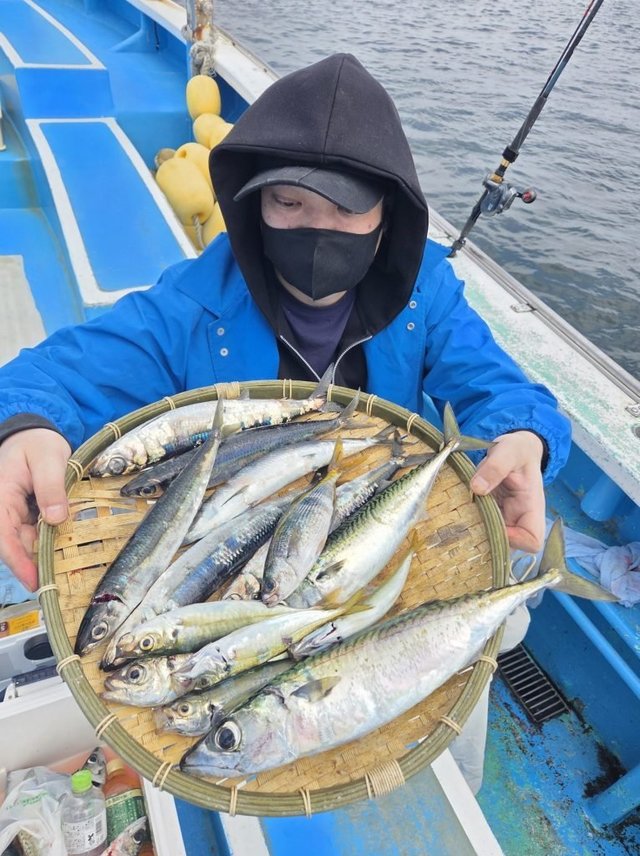 アジ(マアジ)・サバ(ゴマサバ)