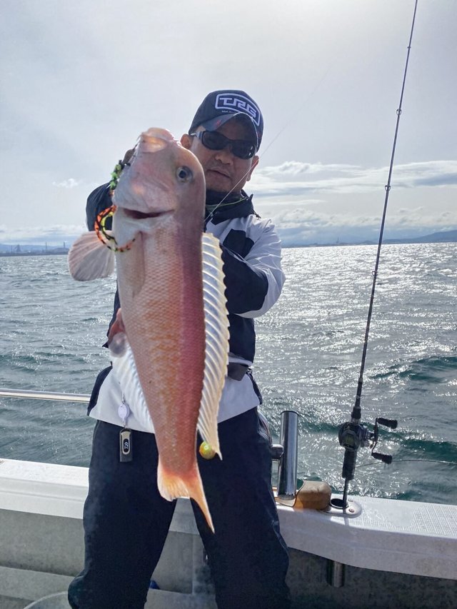 アマダイ(アカアマダイ)