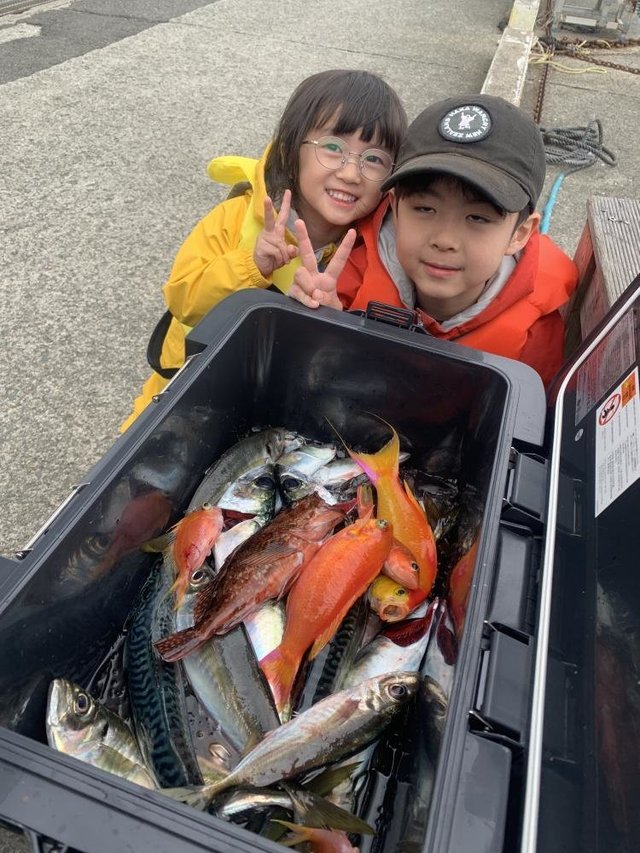 シキシマハナダイ・アジ(マアジ)・カサゴ・サバ(ゴマサバ)