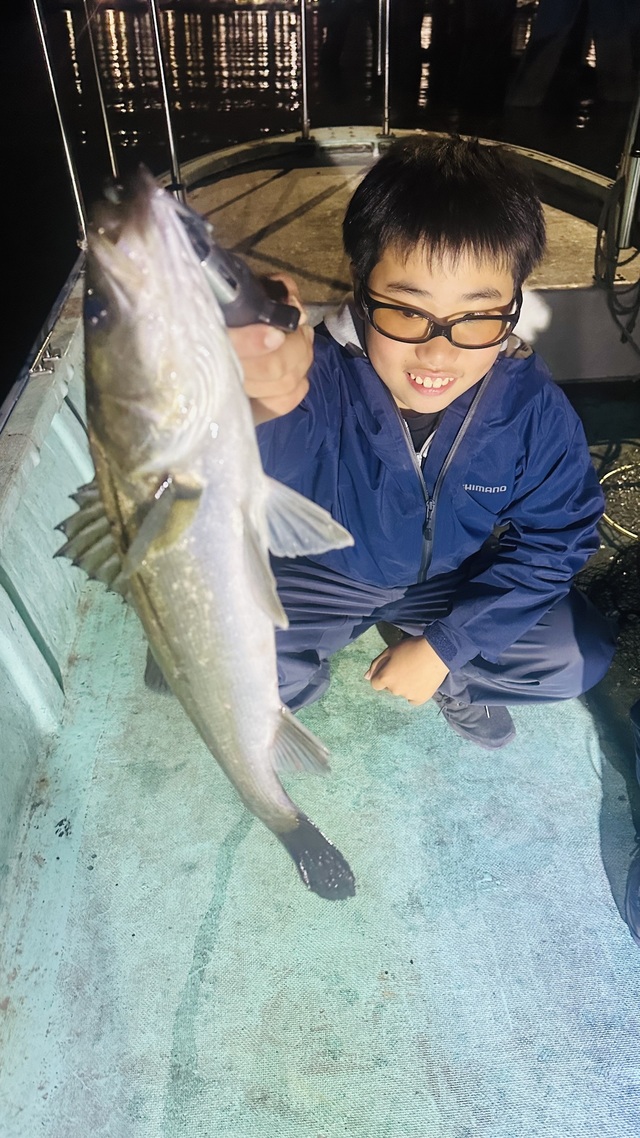 シーバス(スズキ)