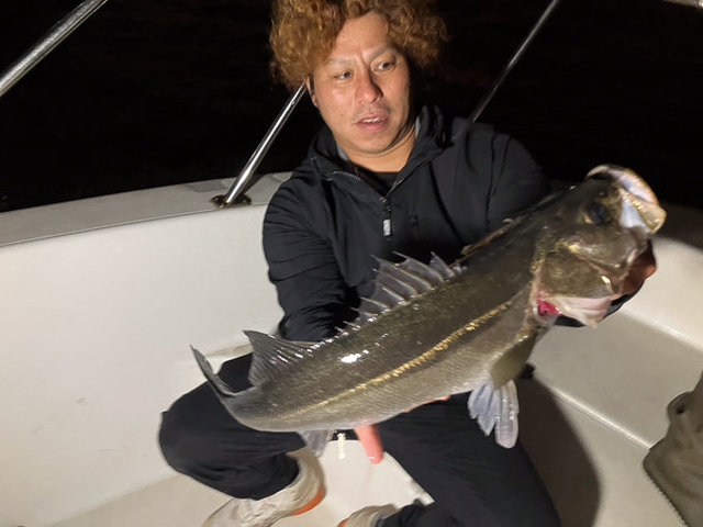 シーバス(スズキ)