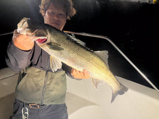 シーバス(スズキ)