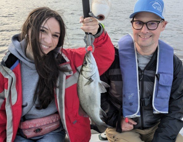 シーバス(スズキ)