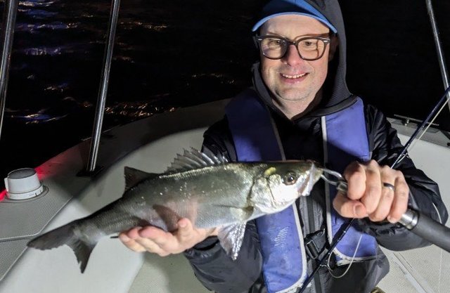 シーバス(スズキ)