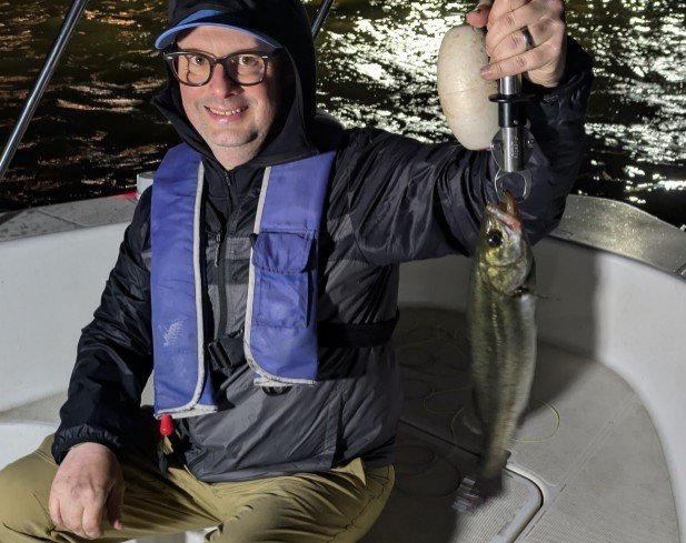 シーバス(スズキ)