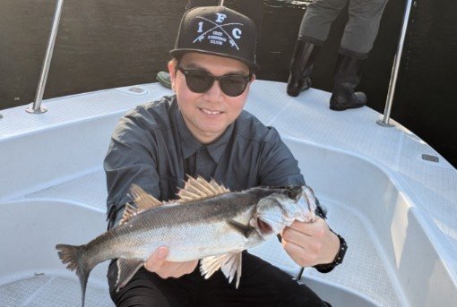 シーバス(スズキ)