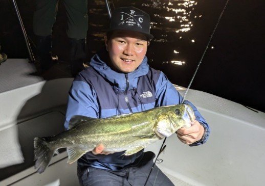 シーバス(スズキ)